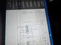 IMG_8148.jpeg